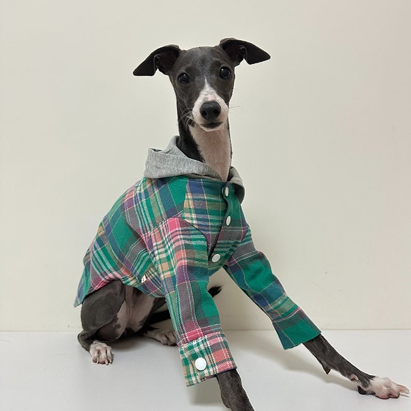 Cotton Plaid Shirt Hoodie for Italian Greyhound Whippet - PIKAPIKA