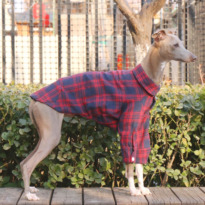 Cotton Plaid Shirt Soft for Italian Greyhound & Whippet Dogs - PIKAPIKA