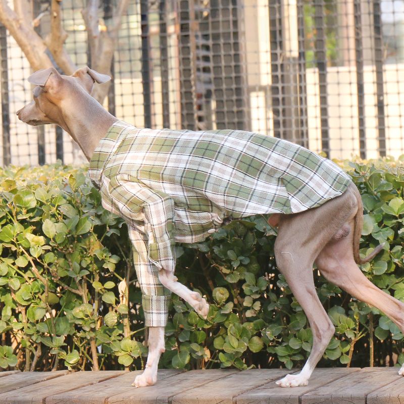Cotton Plaid Shirt Soft for Italian Greyhound & Whippet Dogs - PIKAPIKA