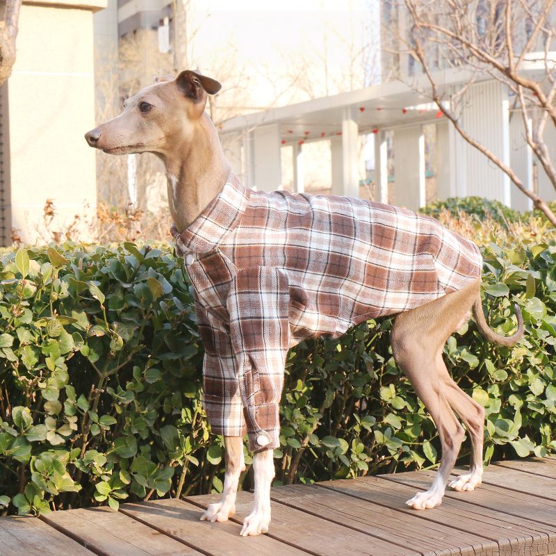 Cotton Plaid Shirt Soft for Italian Greyhound & Whippet Dogs - PIKAPIKA