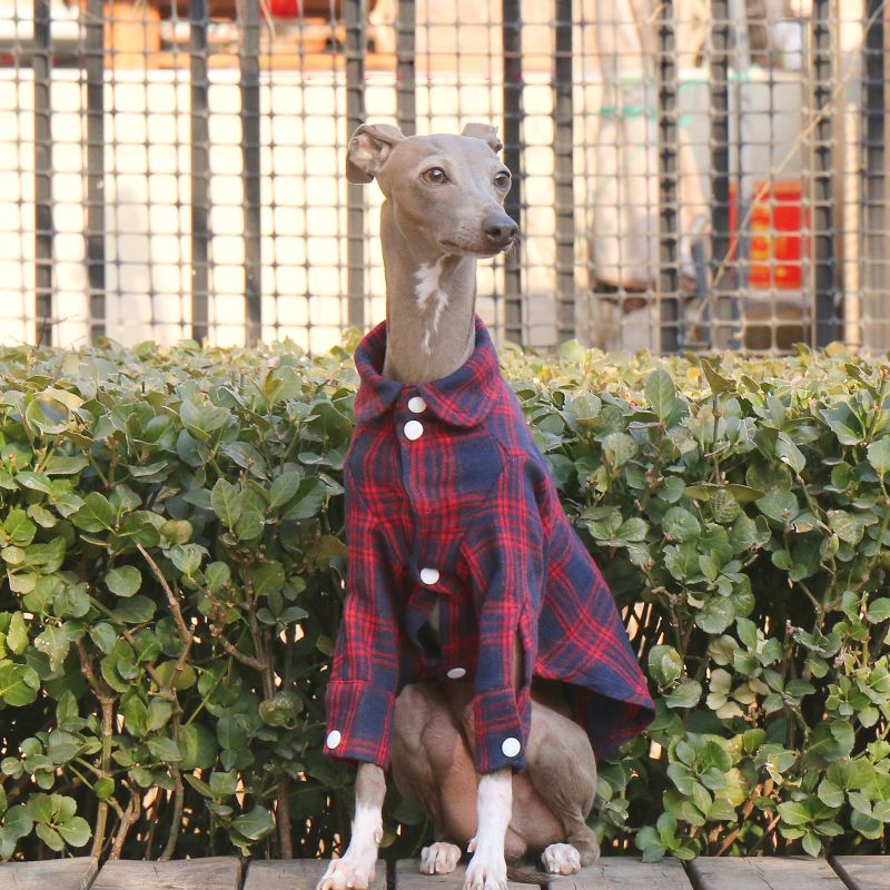 Cotton Plaid Shirt Soft for Italian Greyhound & Whippet Dogs - PIKAPIKA