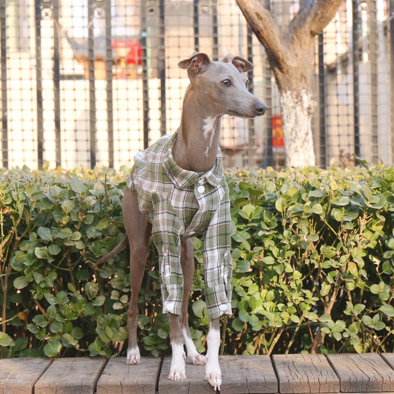Cotton Plaid Shirt Soft for Italian Greyhound & Whippet Dogs - PIKAPIKA