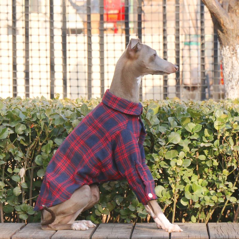 Cotton Plaid Shirt Soft for Italian Greyhound & Whippet Dogs - PIKAPIKA