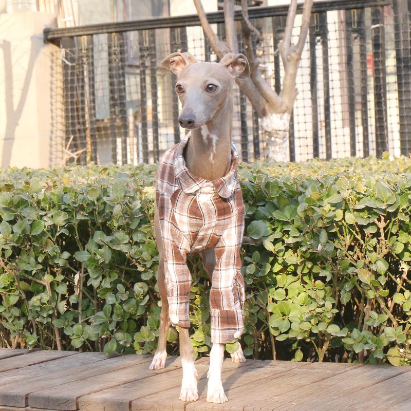 Cotton Plaid Shirt Soft for Italian Greyhound & Whippet Dogs - PIKAPIKA