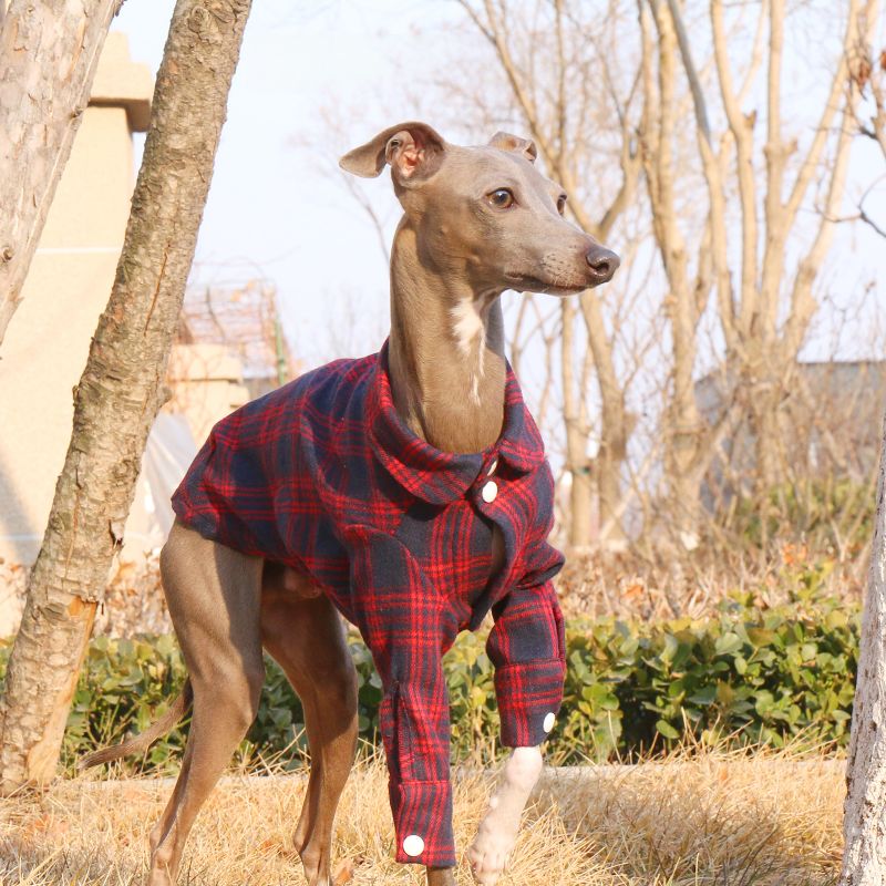 Cotton Plaid Shirt Soft for Italian Greyhound & Whippet Dogs - PIKAPIKA