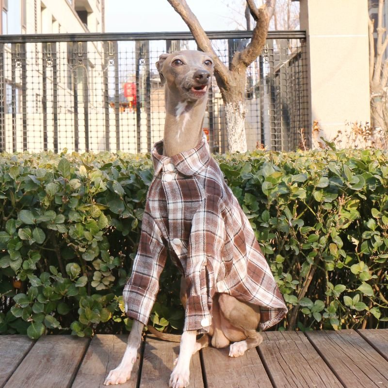 Cotton Plaid Shirt Soft for Italian Greyhound & Whippet Dogs - PIKAPIKA