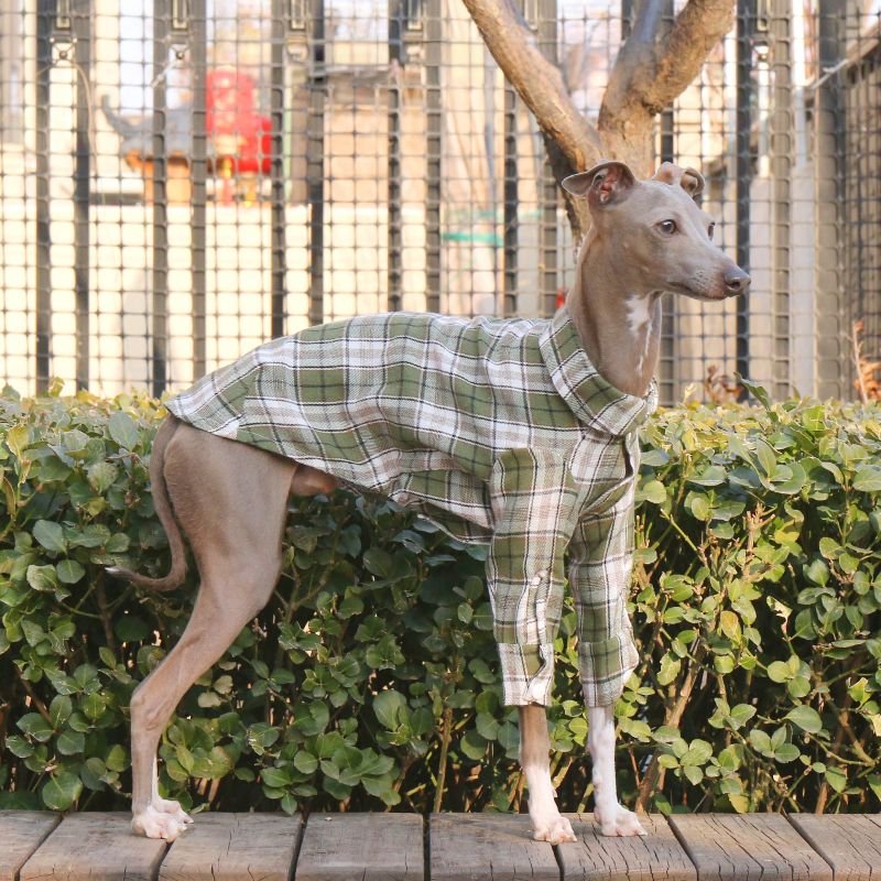 Cotton Plaid Shirt Soft for Italian Greyhound & Whippet Dogs - PIKAPIKA