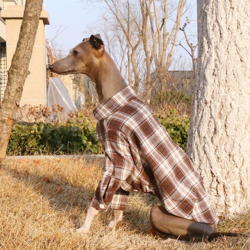 Cotton Plaid Shirt Soft for Italian Greyhound & Whippet Dogs - PIKAPIKA