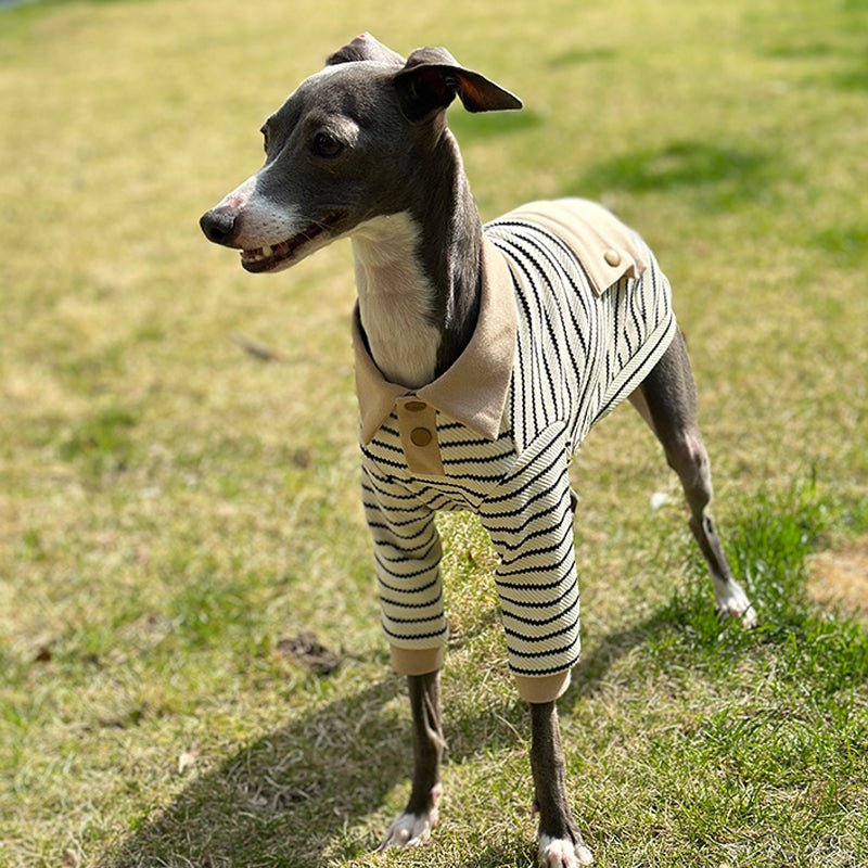 Cotton Polo Shirts for Italian greyhound Whippet Dog Clothes - PIKAPIKA