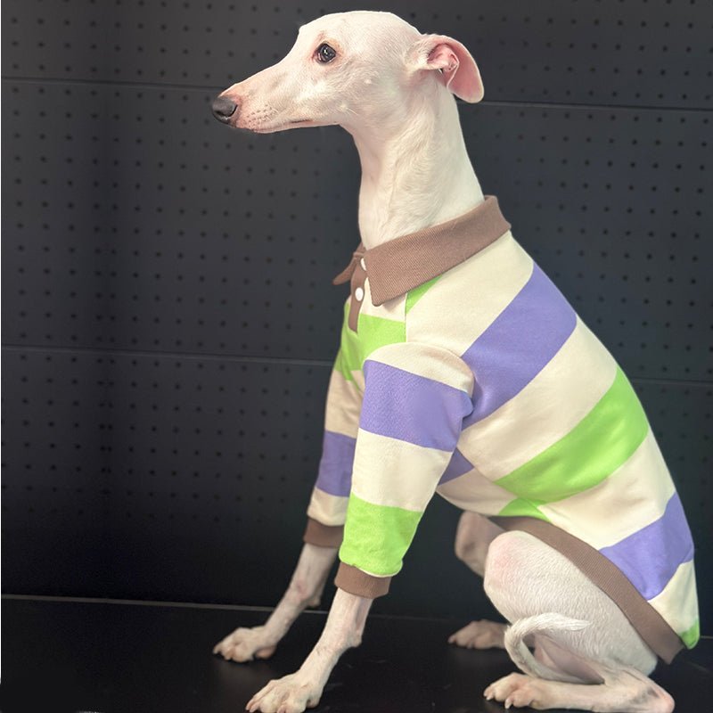 Cotton Polo Shirts for Italian greyhound Whippet Dog Clothes - PIKAPIKA