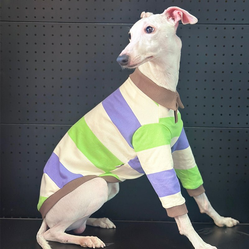 Cotton Polo Shirts for Italian greyhound Whippet Dog Clothes - PIKAPIKA