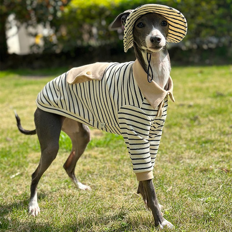 Cotton Polo Shirts for Italian greyhound Whippet Dog Clothes - PIKAPIKA
