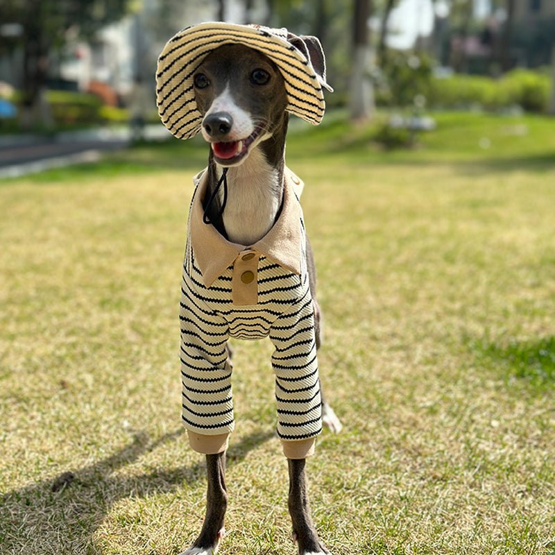 Cotton Polo Shirts for Italian greyhound Whippet Dog Clothes - PIKAPIKA