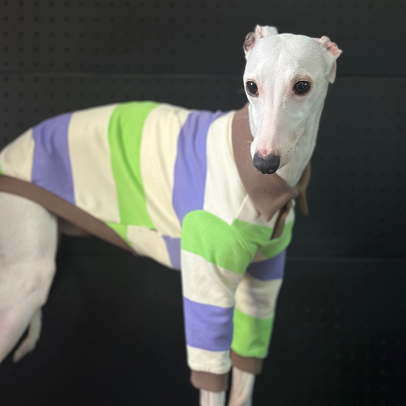 Cotton Polo Shirts for Italian greyhound Whippet Dog Clothes - PIKAPIKA