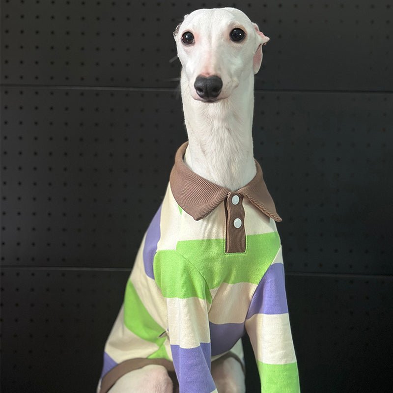 Cotton Polo Shirts for Italian greyhound Whippet Dog Clothes - PIKAPIKA