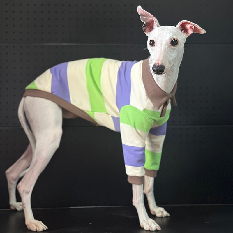 Cotton Polo Shirts for Italian greyhound Whippet Dog Clothes - PIKAPIKA