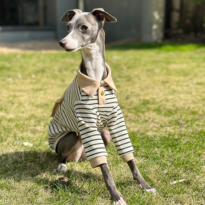 Cotton Polo Shirts for Italian greyhound Whippet Dog Clothes - PIKAPIKA
