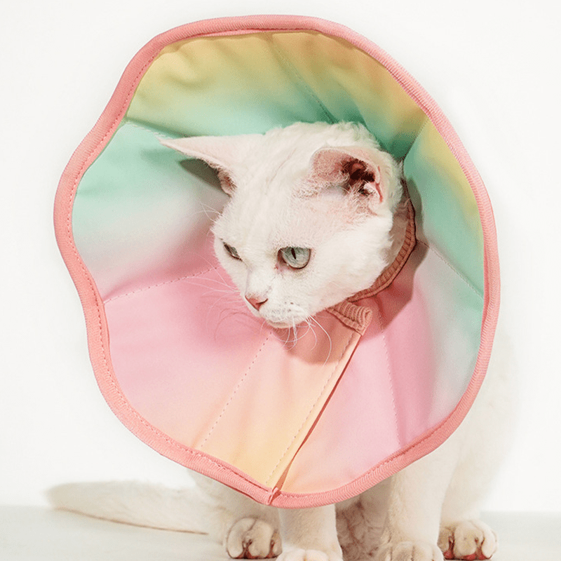 Cotton Recovery Cone Iridescent Elizabeth Collar Pet for Cats and Dogs - PIKAPIKA