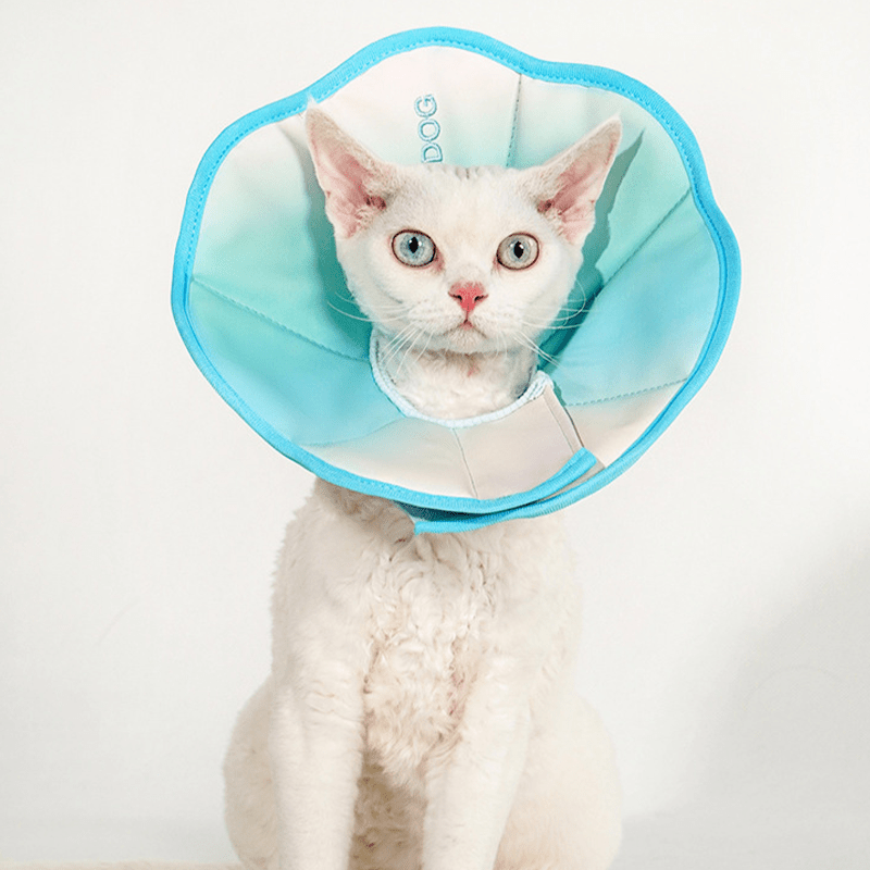 Cotton Recovery Cone Iridescent Elizabeth Collar Pet for Cats and Dogs - PIKAPIKA