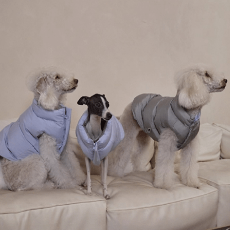 Cotton Reversible Puffer Vest Dog Clothes Water - Resistant Anti - Static Winter Jacket - PIKAPIKA