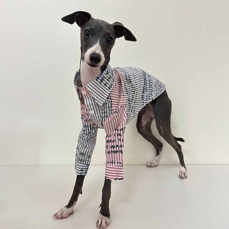 Cotton Shirt for Italian Greyhound Whippet - PIKAPIKA