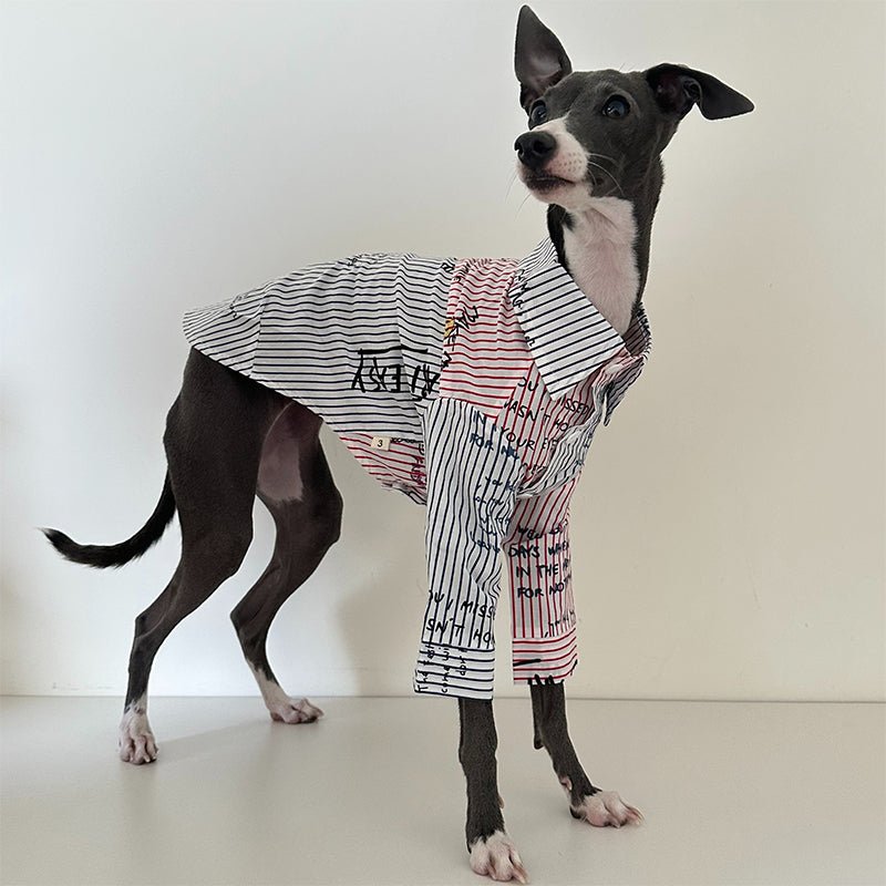 Cotton Shirt for Italian Greyhound Whippet - PIKAPIKA