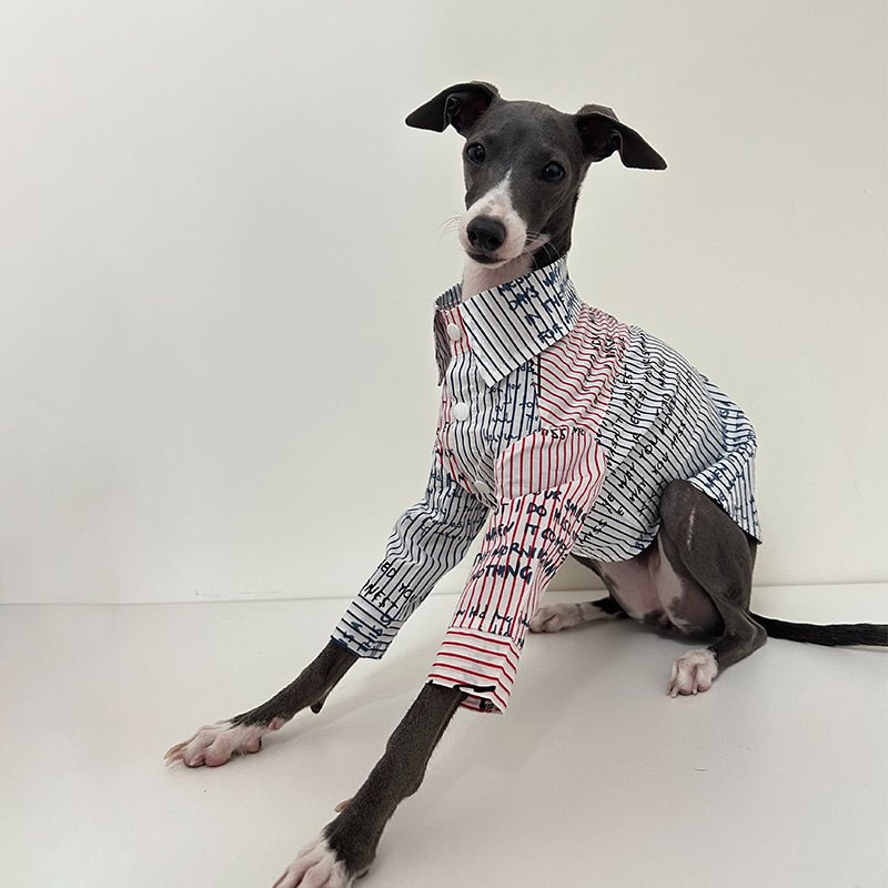 Cotton Shirt for Italian Greyhound Whippet - PIKAPIKA