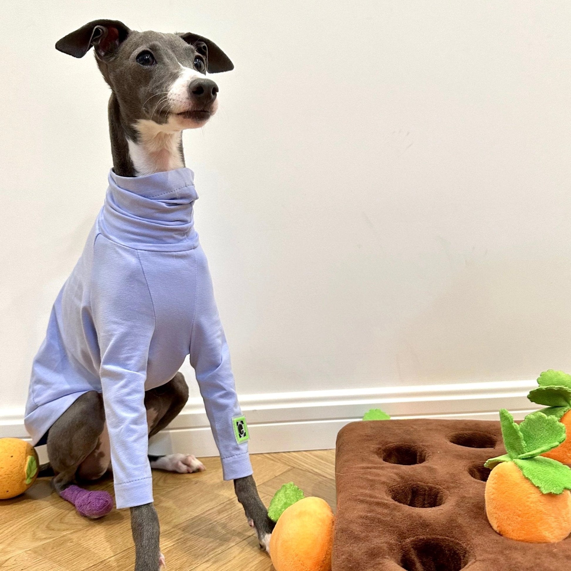 Cotton Shirt T-shirt Italian Greyhound Whippet Dog Clothes - PIKAPIKA