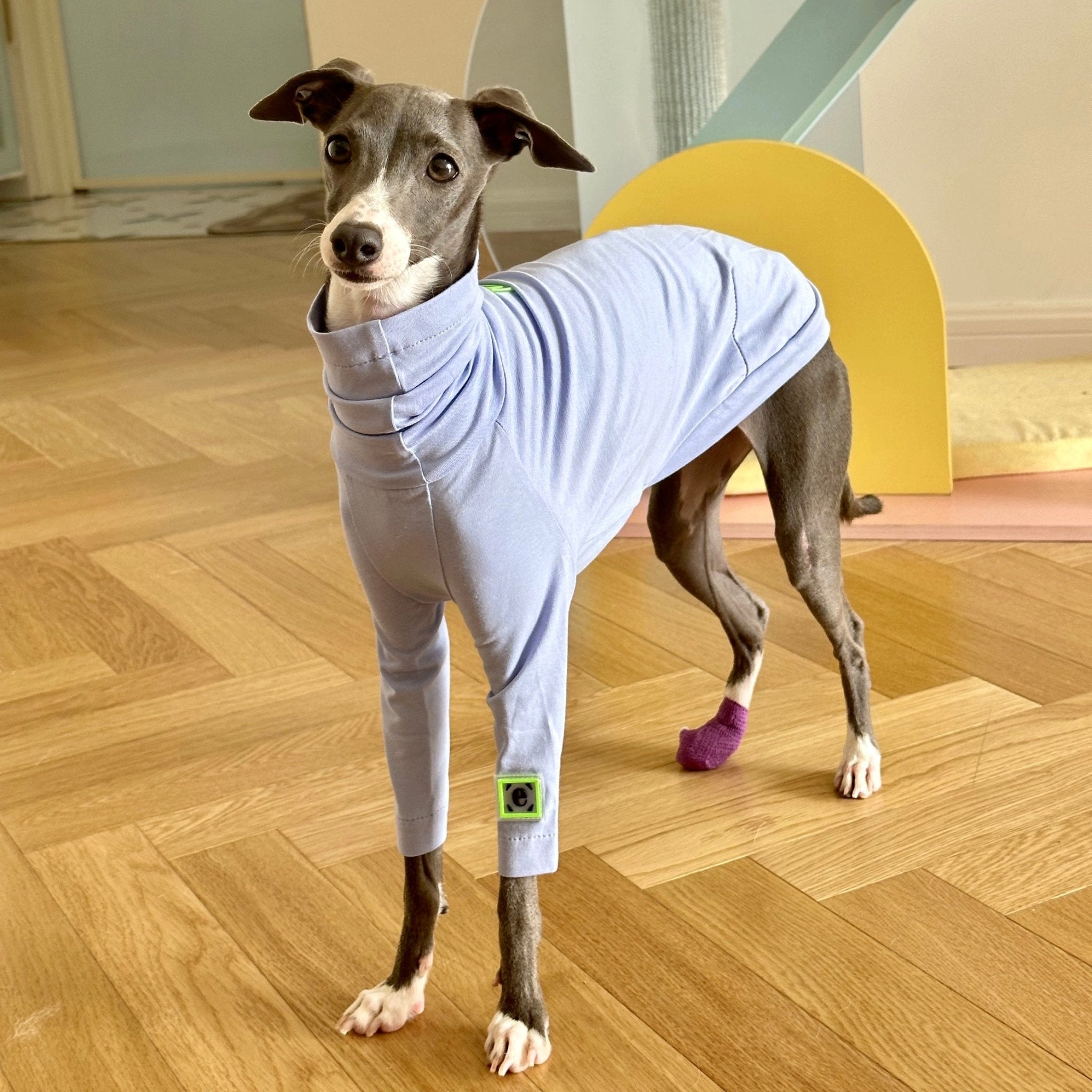 Cotton Shirt T-shirt Italian Greyhound Whippet Dog Clothes - PIKAPIKA