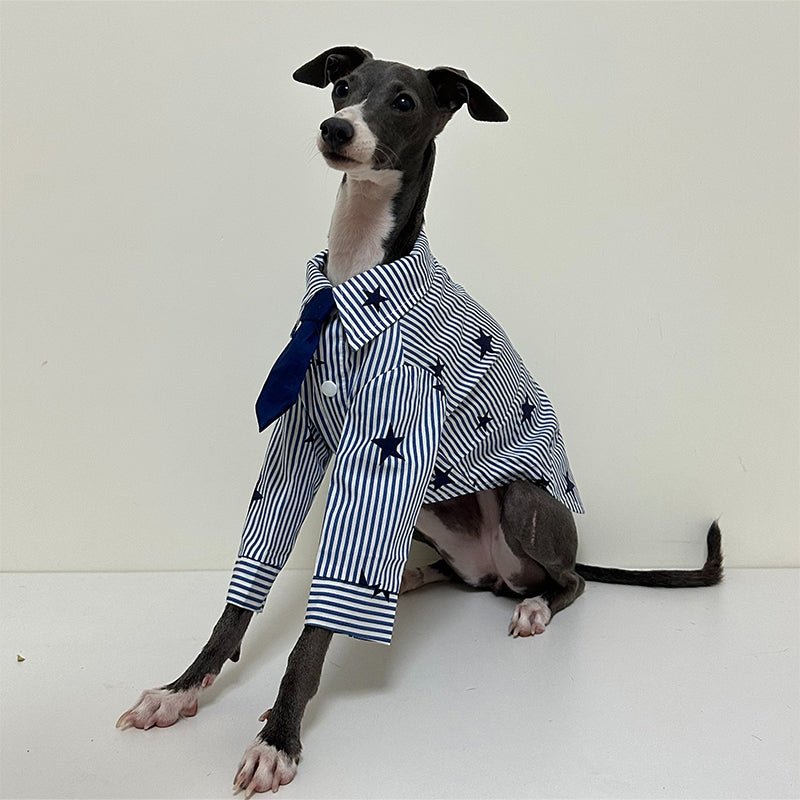 Cotton Shirts with Tie for Italian Greyhound Whippet - PIKAPIKA