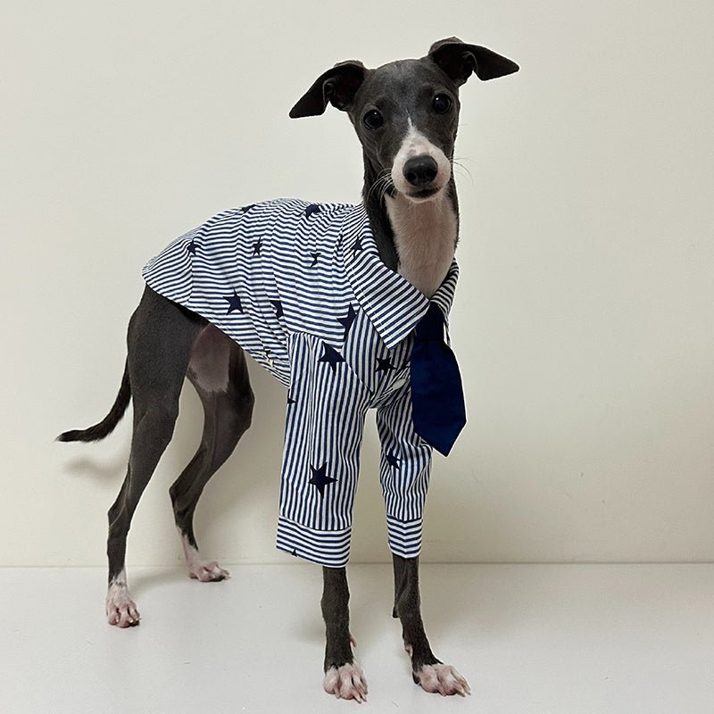 Cotton Shirts with Tie for Italian Greyhound Whippet - PIKAPIKA