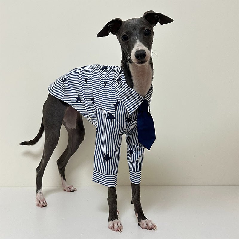 Cotton Shirts with Tie for Italian Greyhound Whippet - PIKAPIKA