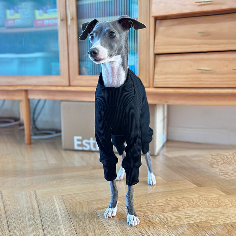 Cotton Soft Onesie for Italian greyhound Whippet Dog Clothes - PIKAPIKA