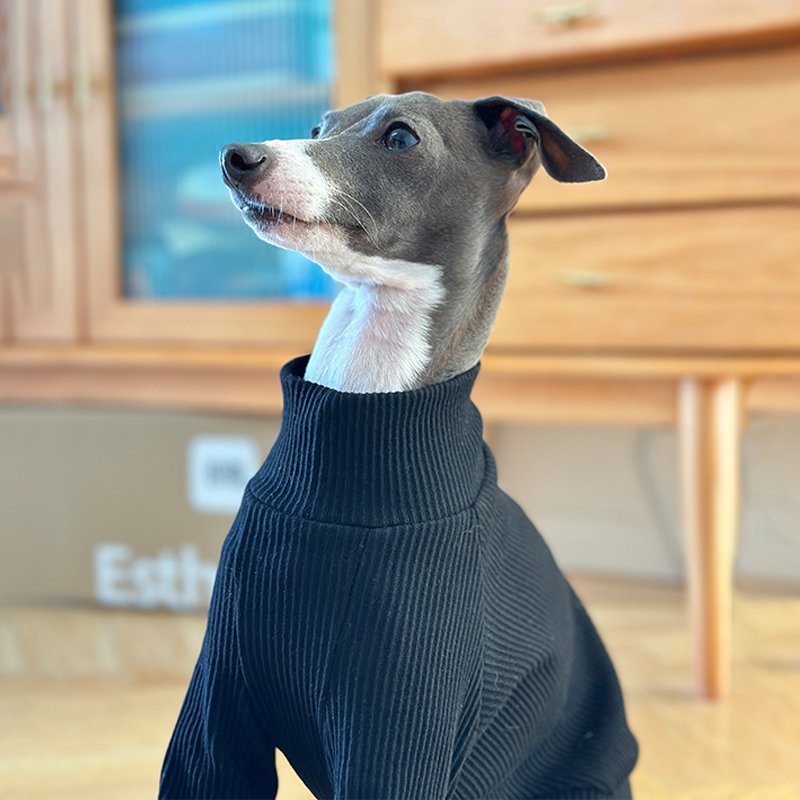 Cotton Soft Onesie for Italian greyhound Whippet Dog Clothes - PIKAPIKA