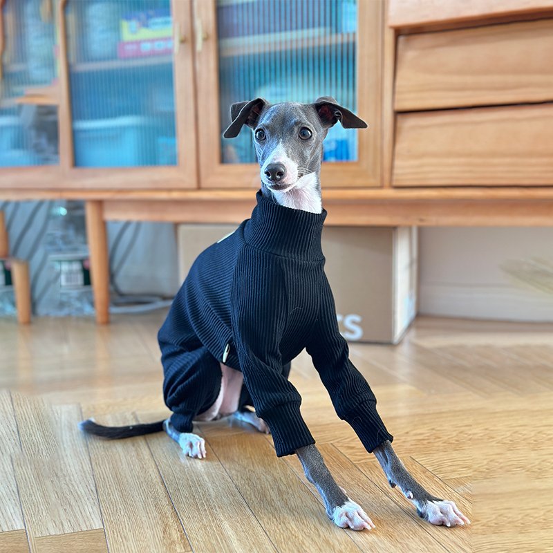 Cotton Soft Onesie for Italian greyhound Whippet Dog Clothes - PIKAPIKA