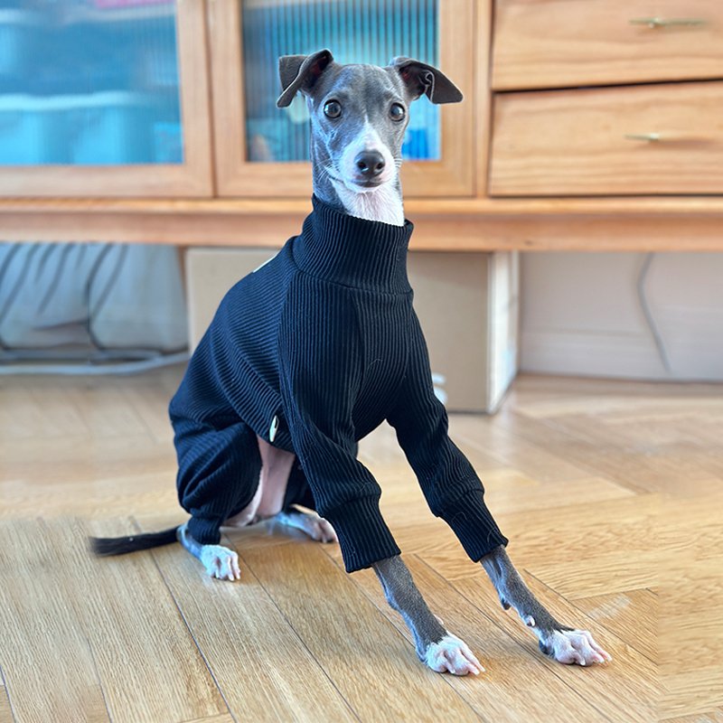 Cotton Soft Onesie for Italian greyhound Whippet Dog Clothes - PIKAPIKA