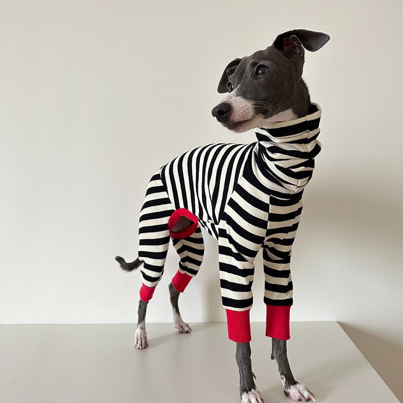 Cotton Stripe Onesie for Italian Greyhound Whippet Dog Clothes - PIKAPIKA
