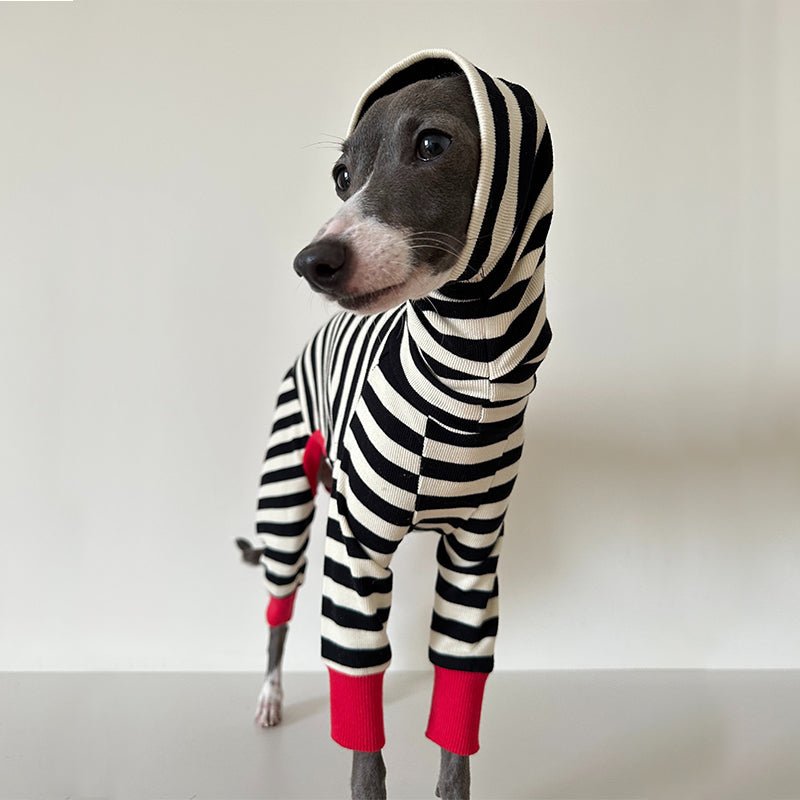 Cotton Stripe Onesie for Italian Greyhound Whippet Dog Clothes - PIKAPIKA