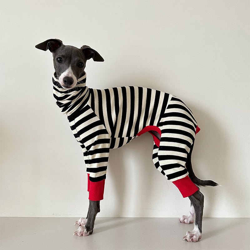 Cotton Stripe Onesie for Italian Greyhound Whippet Dog Clothes - PIKAPIKA