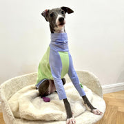 Cotton T-shirt Shirt Italian Greyhound Whippet Dog Clothes - PIKAPIKA