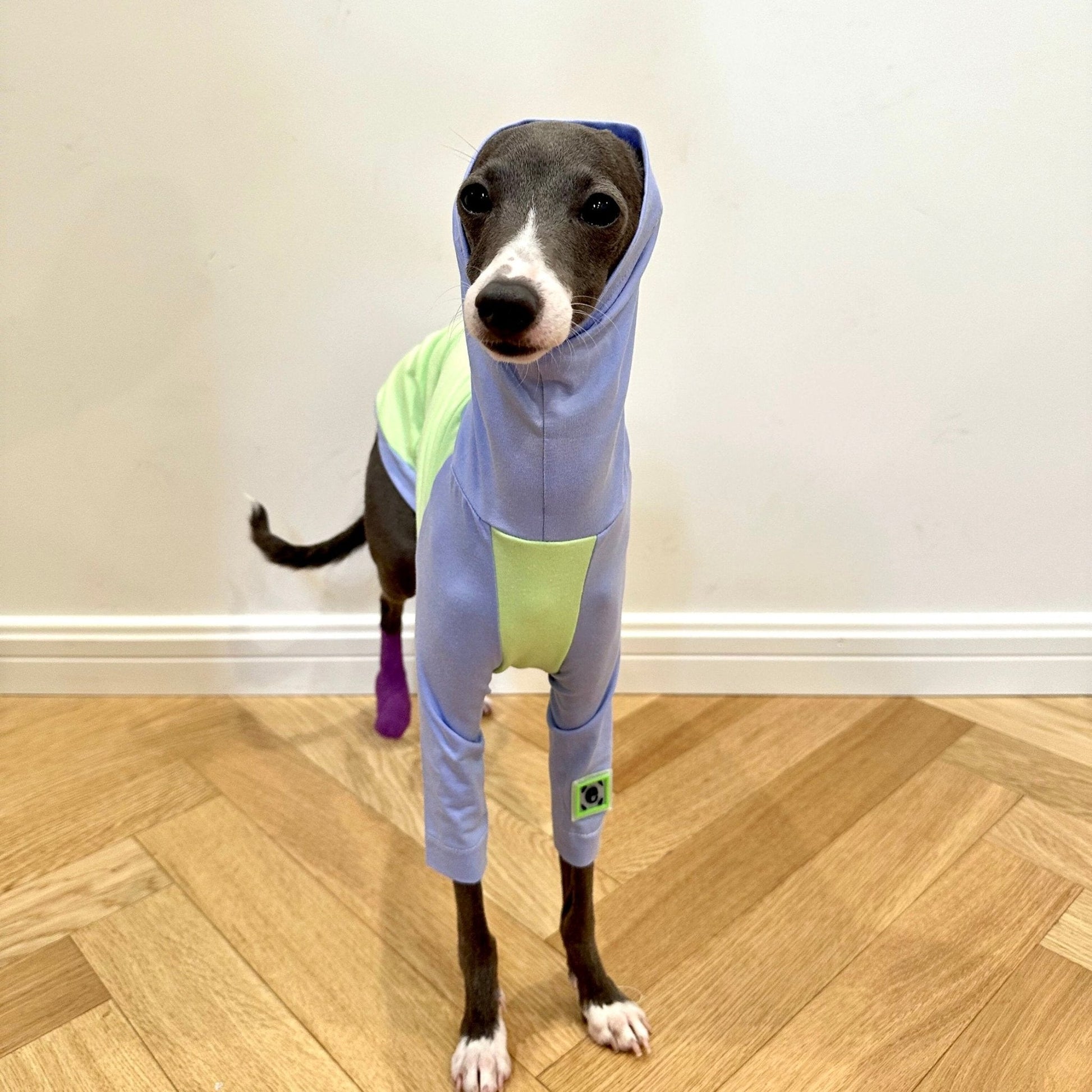 Cotton T-shirt Shirt Italian Greyhound Whippet Dog Clothes - PIKAPIKA