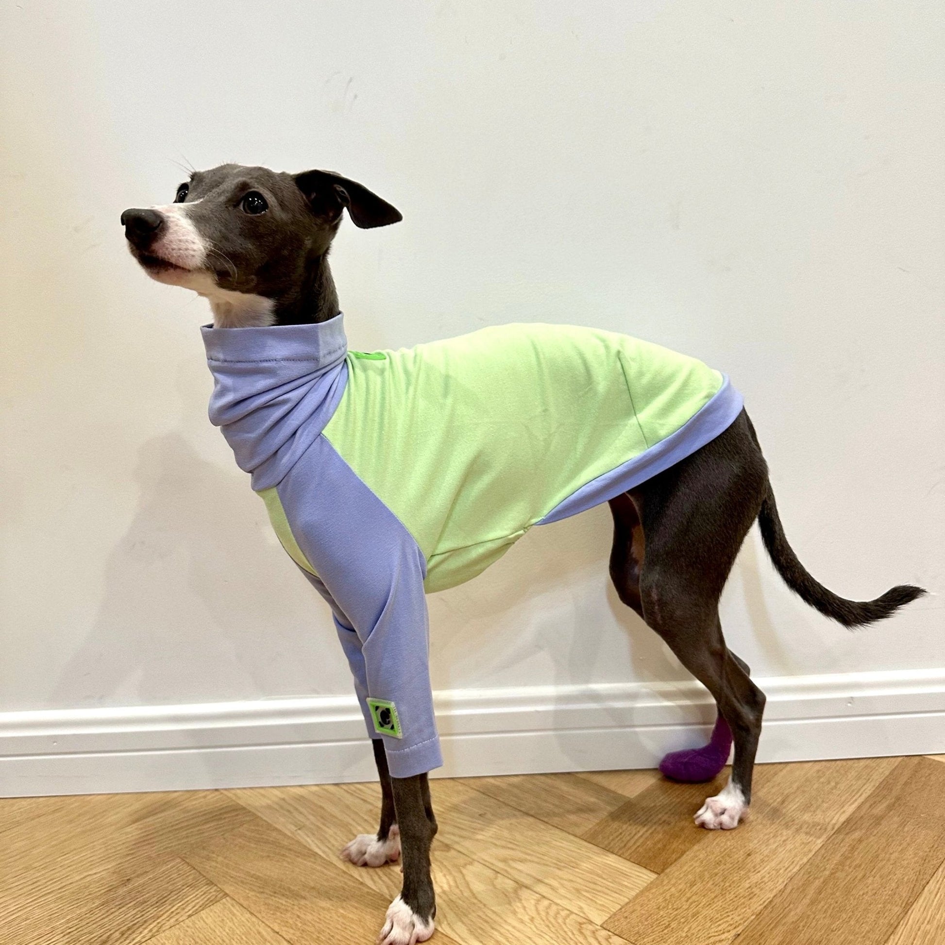 Cotton T-shirt Shirt Italian Greyhound Whippet Dog Clothes - PIKAPIKA