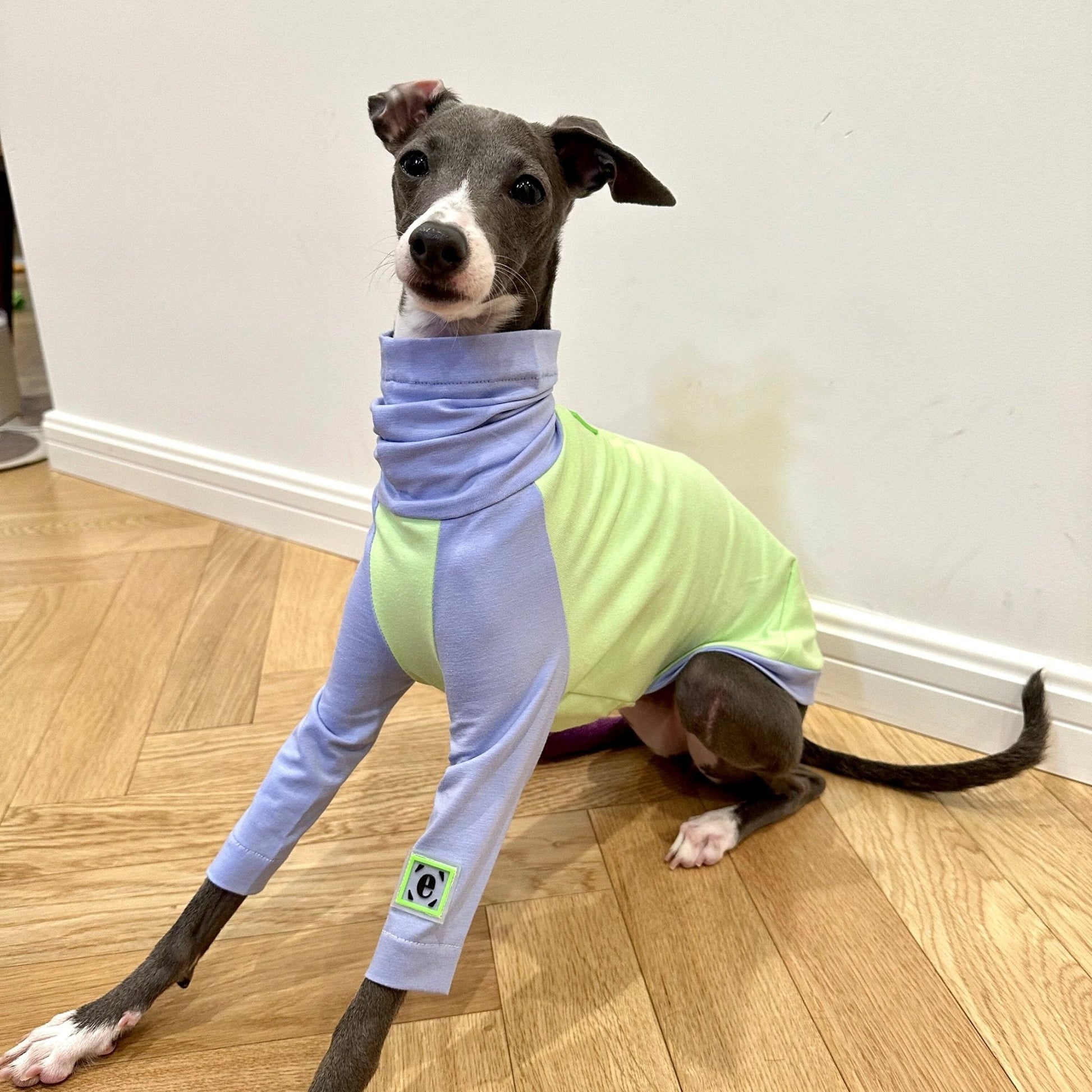 Cotton T-shirt Shirt Italian Greyhound Whippet Dog Clothes - PIKAPIKA
