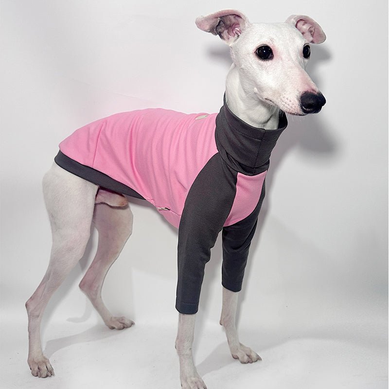 Cotton T-shirts Tee Shirts for Italian greyhound Whippet Dog Clothes - PIKAPIKA