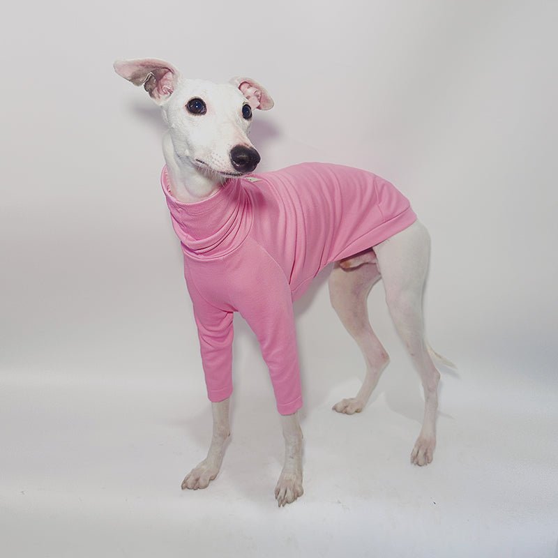 Cotton T-shirts Tee Shirts for Italian greyhound Whippet Dog Clothes - PIKAPIKA