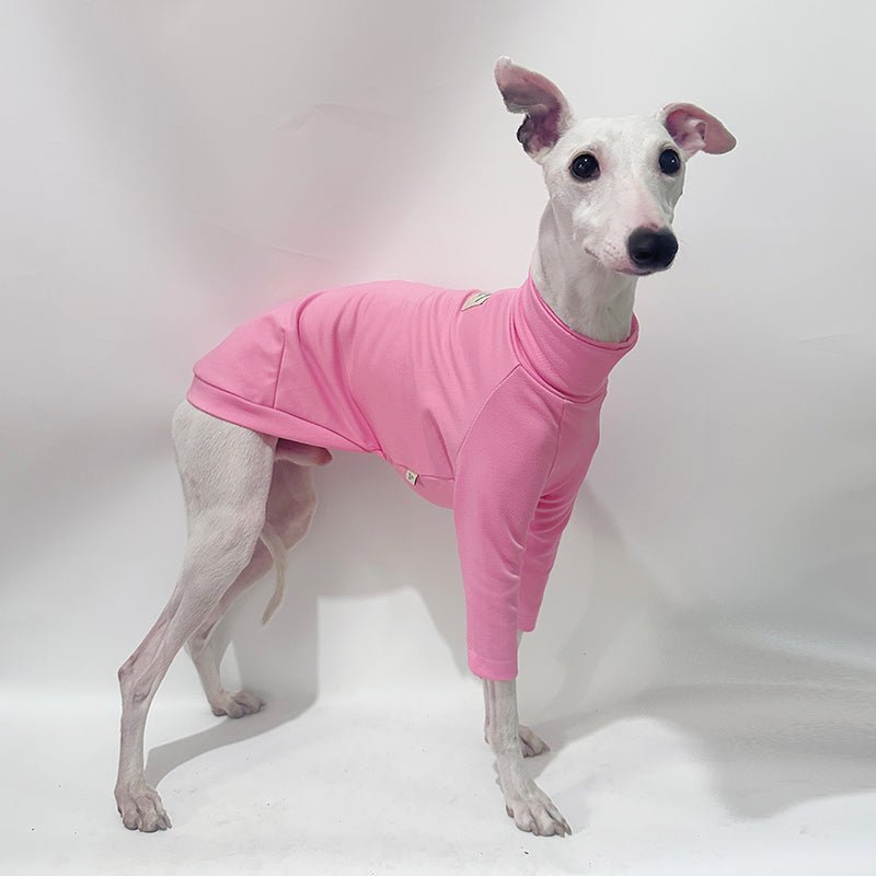 Cotton T-shirts Tee Shirts for Italian greyhound Whippet Dog Clothes - PIKAPIKA