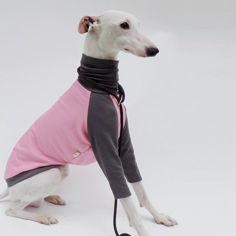 Cotton T-shirts Tee Shirts for Italian greyhound Whippet Dog Clothes - PIKAPIKA
