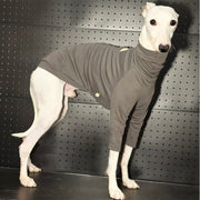Cotton T-shirts Tee Shirts for Italian greyhound Whippet Dog Clothes - PIKAPIKA