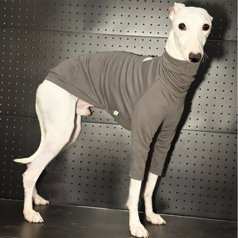 Cotton T-shirts Tee Shirts for Italian greyhound Whippet Dog Clothes - PIKAPIKA