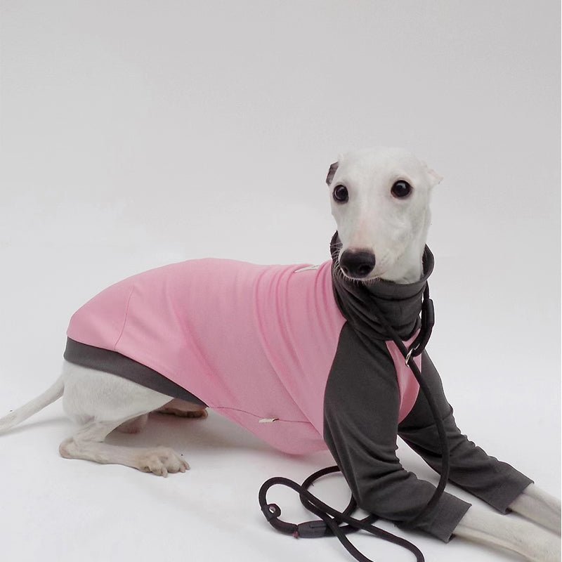 Cotton T-shirts Tee Shirts for Italian greyhound Whippet Dog Clothes - PIKAPIKA